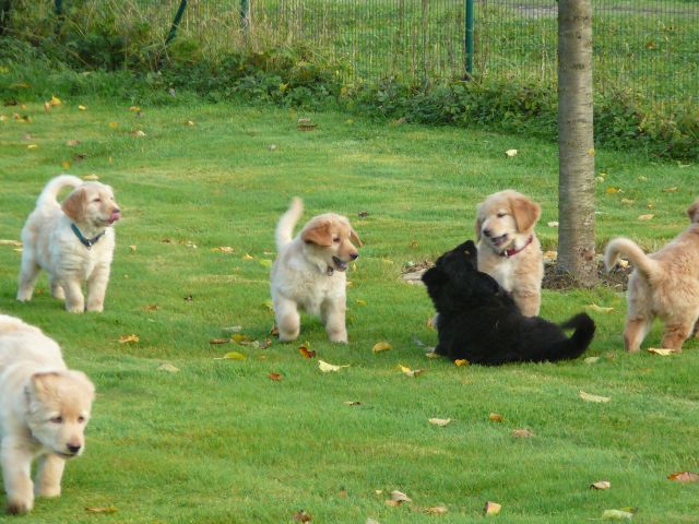 action